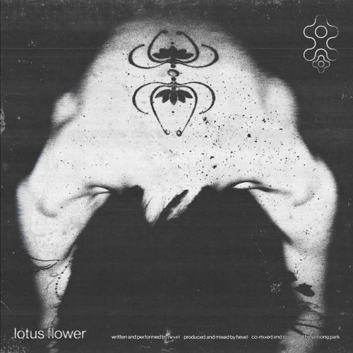 lotus flower