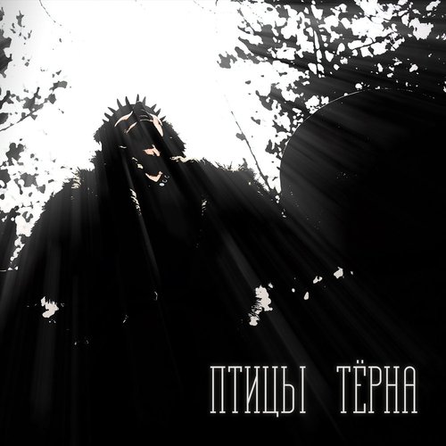 Птицы тёрна