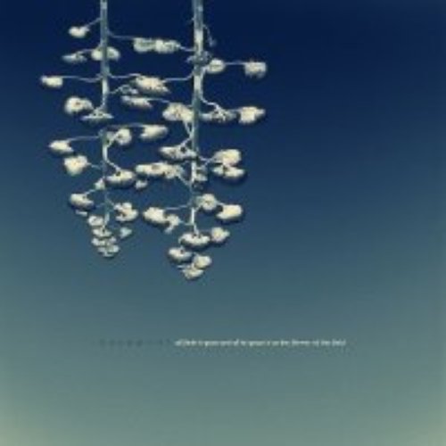 All flesh is grass and all its grace is as the flower of the field