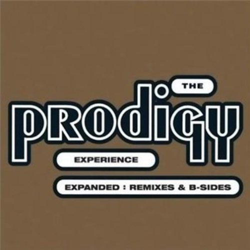 Experience-Expanded: Remixes & B-sides