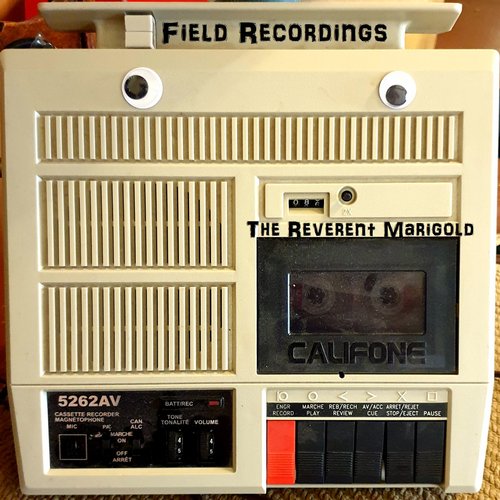 Field Recordings
