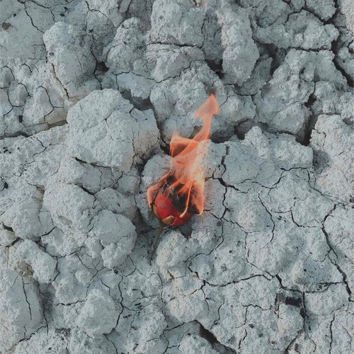 Gül - Single