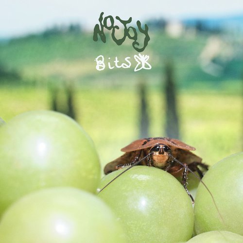 Bits - Single