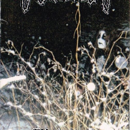 Winternacht