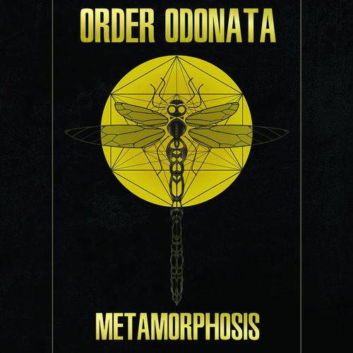 Order Odonata – Metamorphosis
