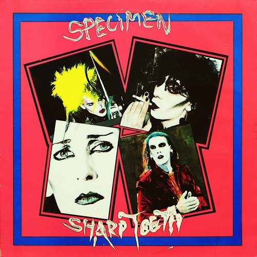 Sharp Teeth
