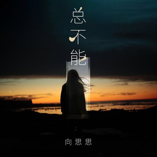 总不能 - Single