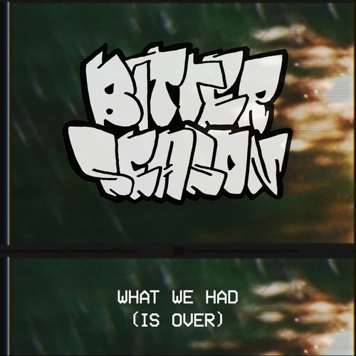 What We Had (Is Over) - Single