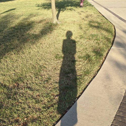 Ghost In A Dress