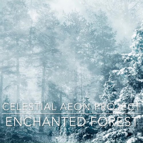 Enchanted Forest