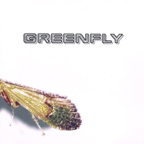 Greenfly