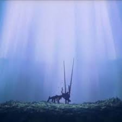 Death & Rebirth - Single