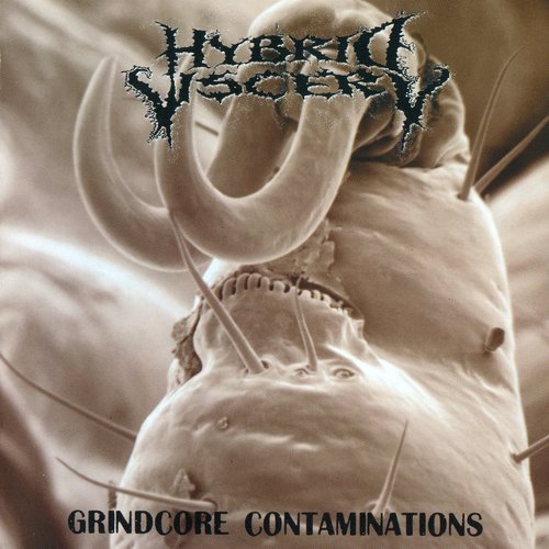 Grindcore Contaminations