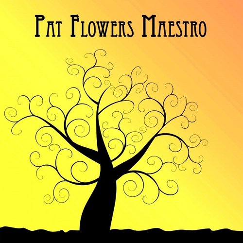 Pat Flowers Maestro