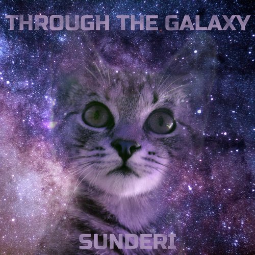 Through the Galaxy