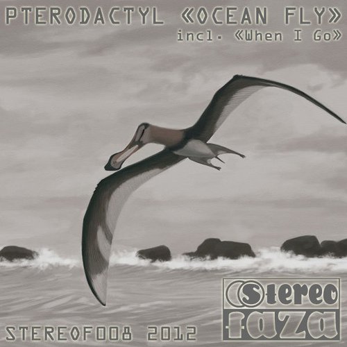 Ocean Fly - Single