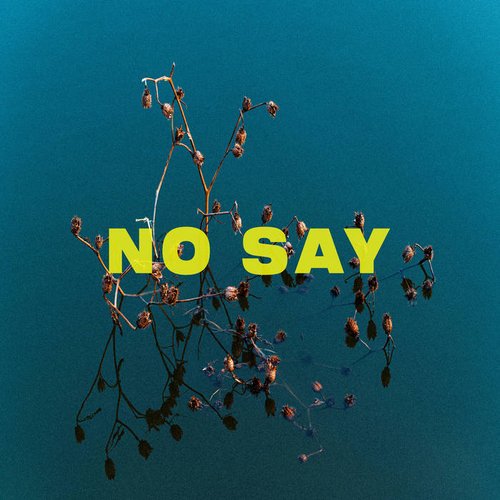 No Say - Single