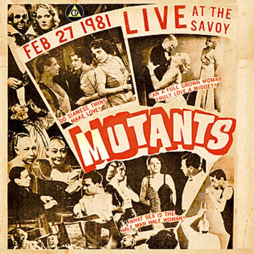 Live at the Savoy 1981