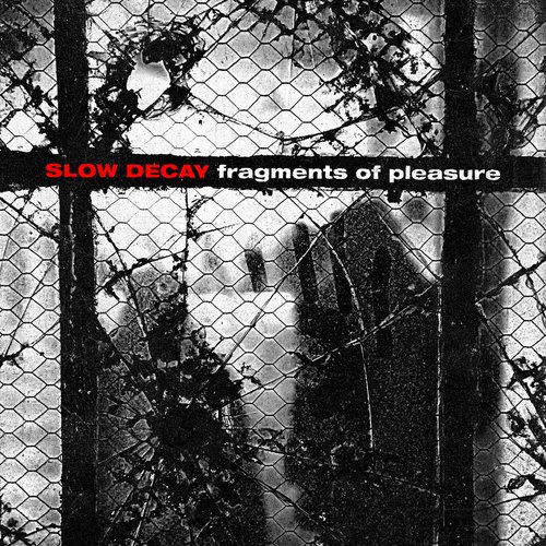 Fragments of Pleasure