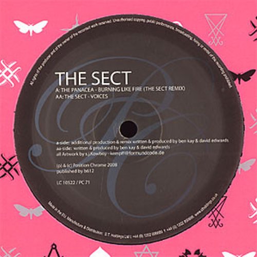 Burning Like Fire (The Sect Remix) / Voices