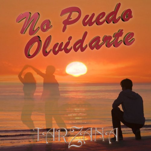 No Puedo Olvidarte