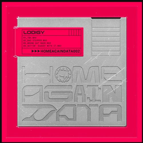 Home Again Data 02