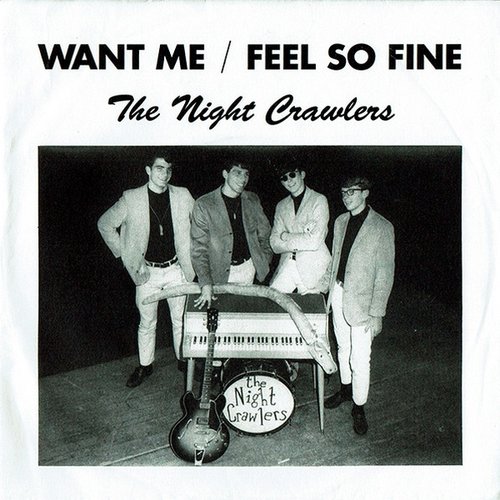 Want Me / Feel So Fine