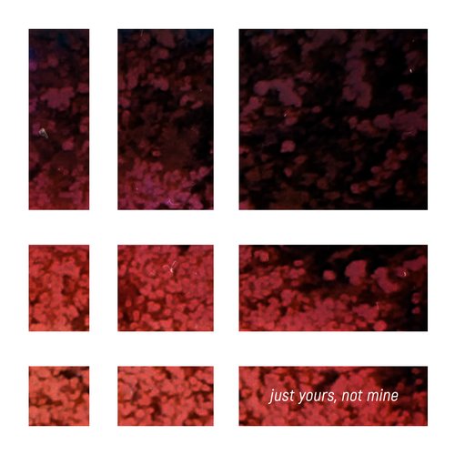 Just Yours, Not Mine - Single