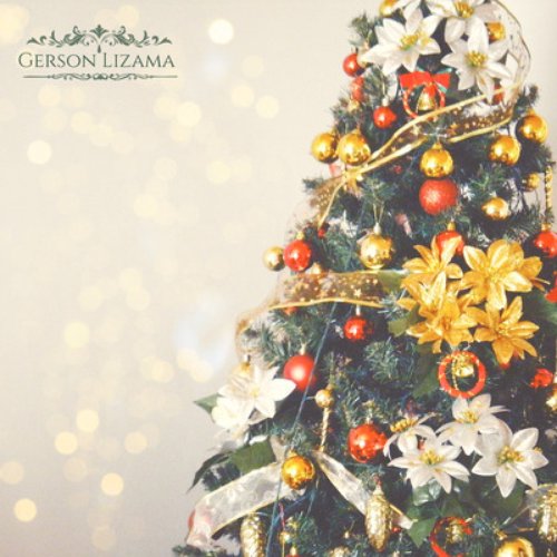 Hurry Up, Santa! / Christmas Is Coming / Little Christmas Star
