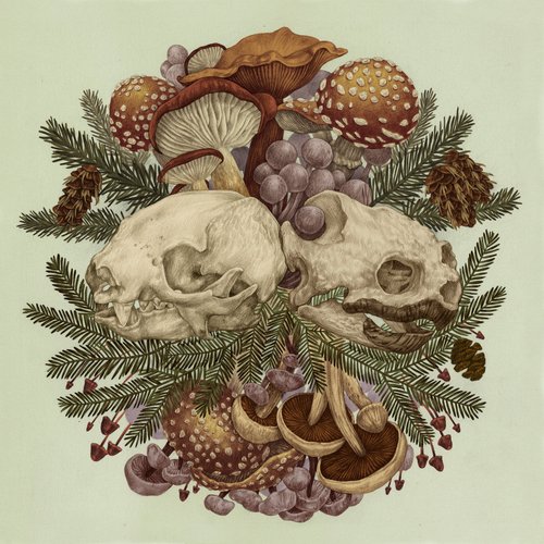 Sloth & Turtle - EP