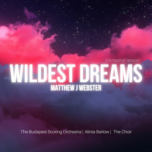 Wildest Dreams