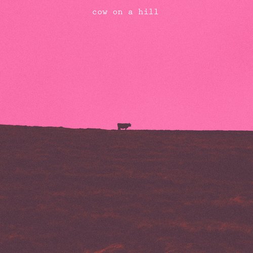 Cow On A Hill