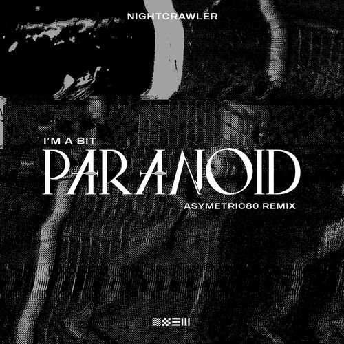 I'm a Bit Paranoid (Asymetric80 Remix)
