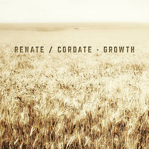 Growth