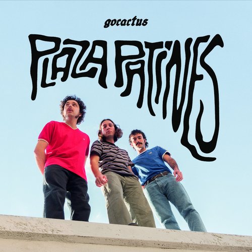 Plaza patines