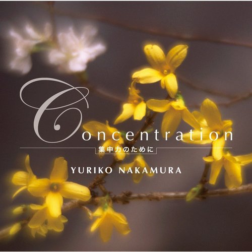 Concentration~集中力のために~