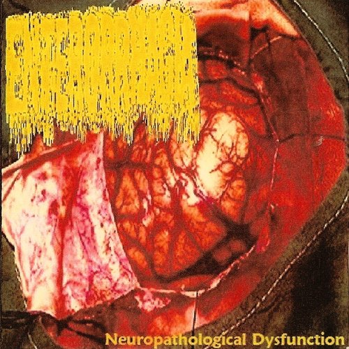 Neuropathological Dysfunction
