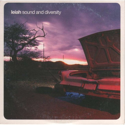 Sound And Diversity
