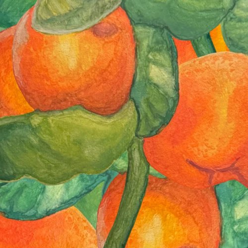 The Clementine Trilogy