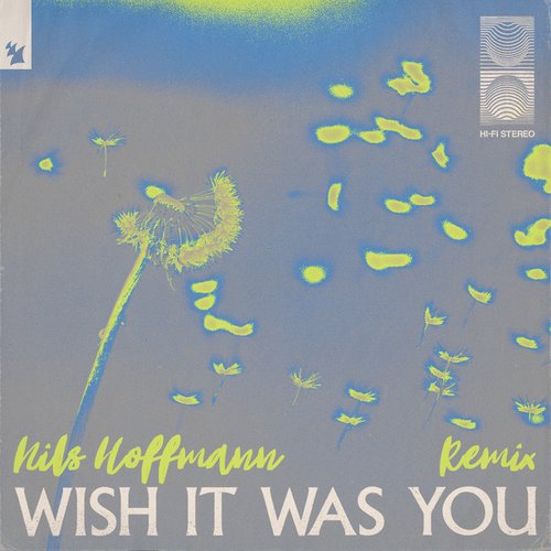 Wish It Was You (Nils Hoffmann Remix)