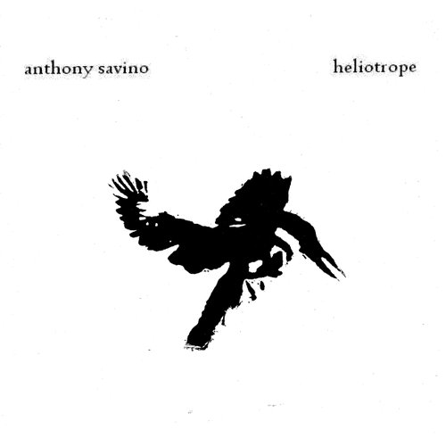 Heliotrope