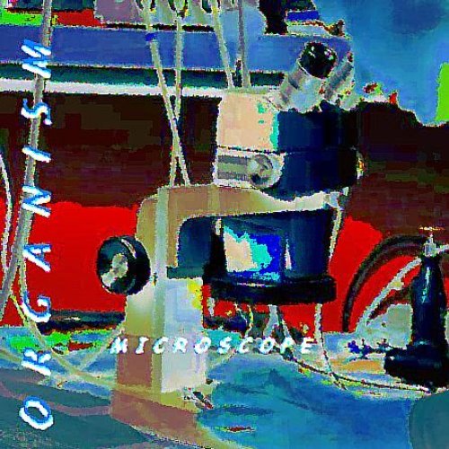 Microscope