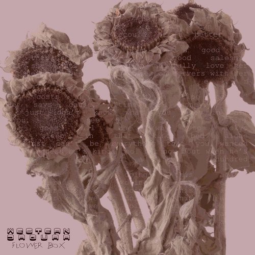 Flower Box
