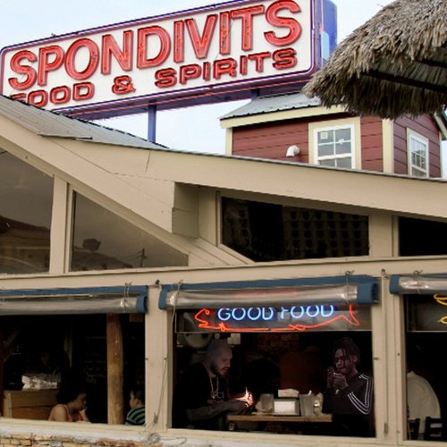 Spondivits