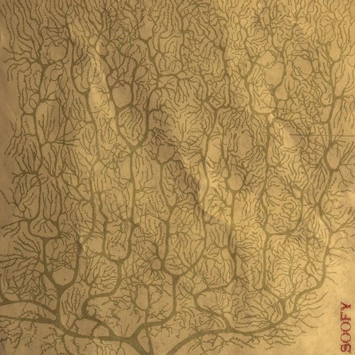 Shape Of My Mind