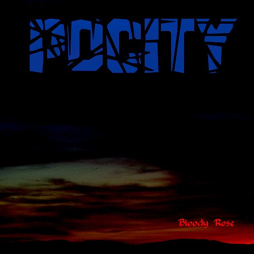 Pocity
