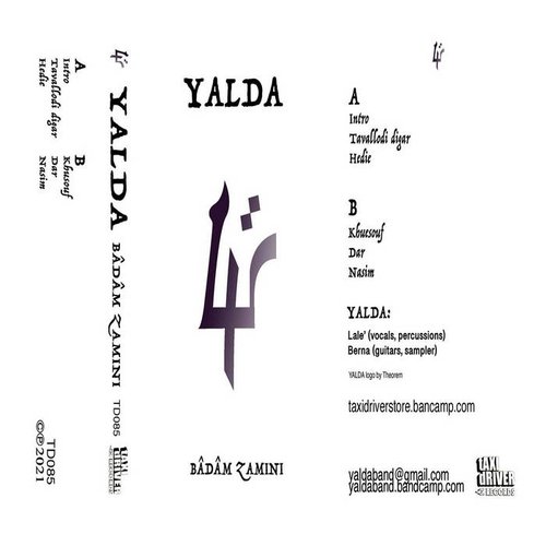 Badam Zamini