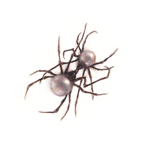 Scarlet [Clean] [Clean]