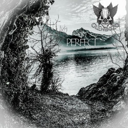 Perfect - Single