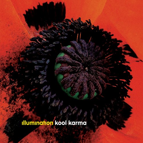 Kool Karma Remixes